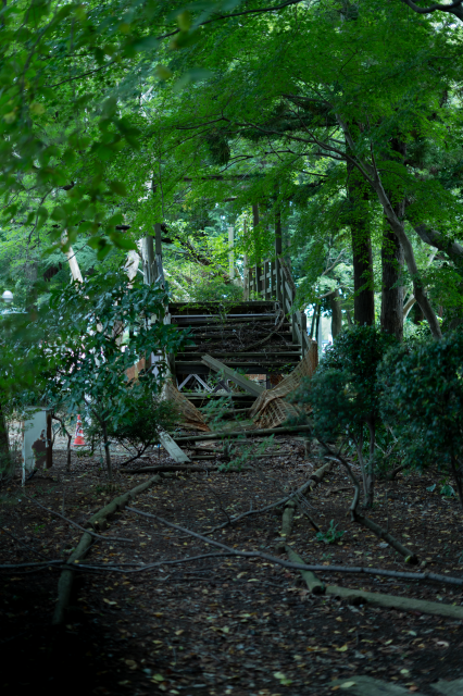 f:id:SAYA00000001:20201004154525p:plain f:id:SAYA00000001:20201004154525p:plain