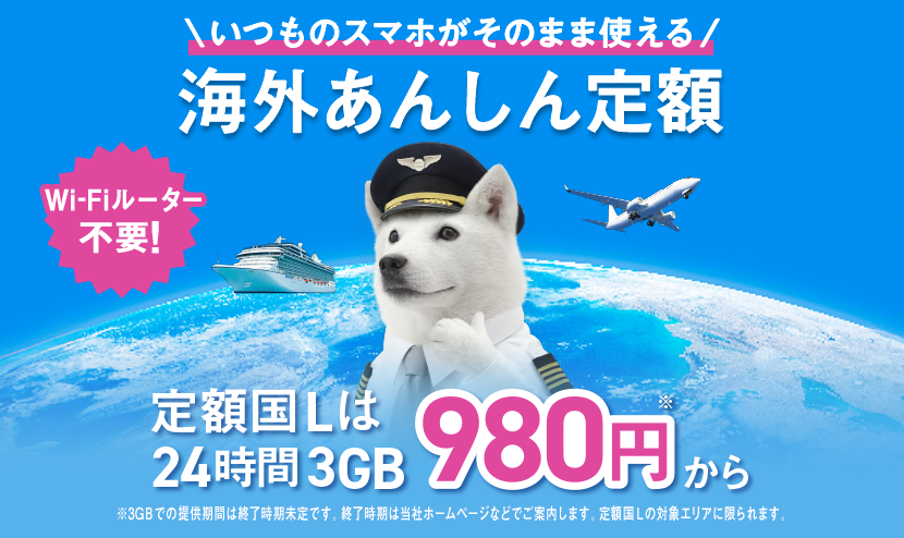 海外あんしん定額