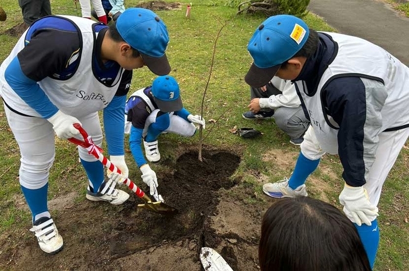 秋田県と育む森林再生。こまちスタジアムで150本の苗木を植樹