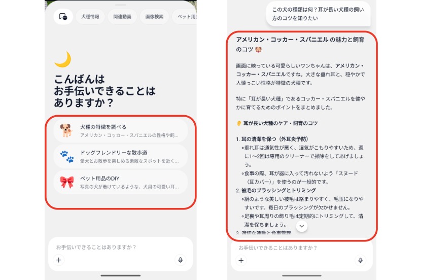 「Natural AI Phone」-犬種の特長やドッグフレンドリーな散歩コース、ペット用品のDIYといった提案が表示