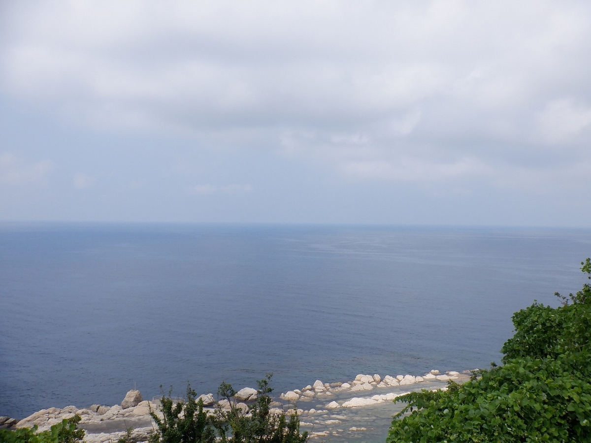 f:id:SC1083:20220224134724j:plain