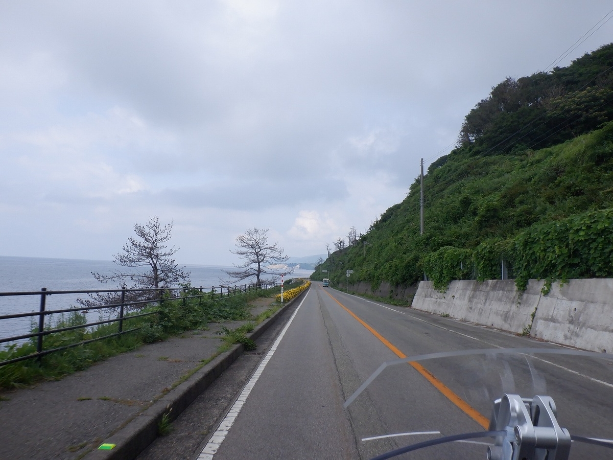 f:id:SC1083:20220224135502j:plain