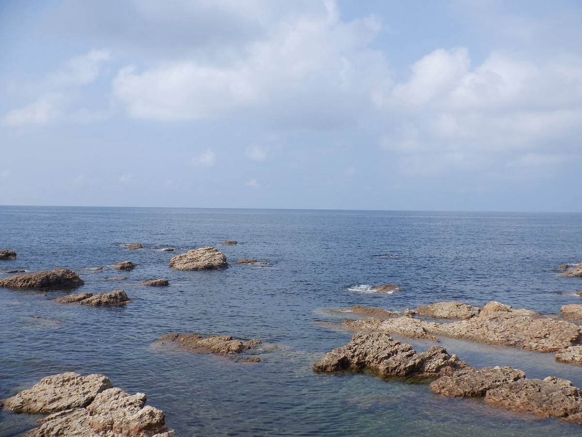f:id:SC1083:20220224140221j:plain