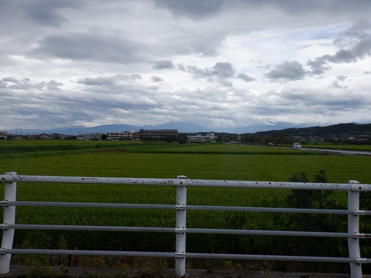 f:id:SC1083:20220312125116j:plain