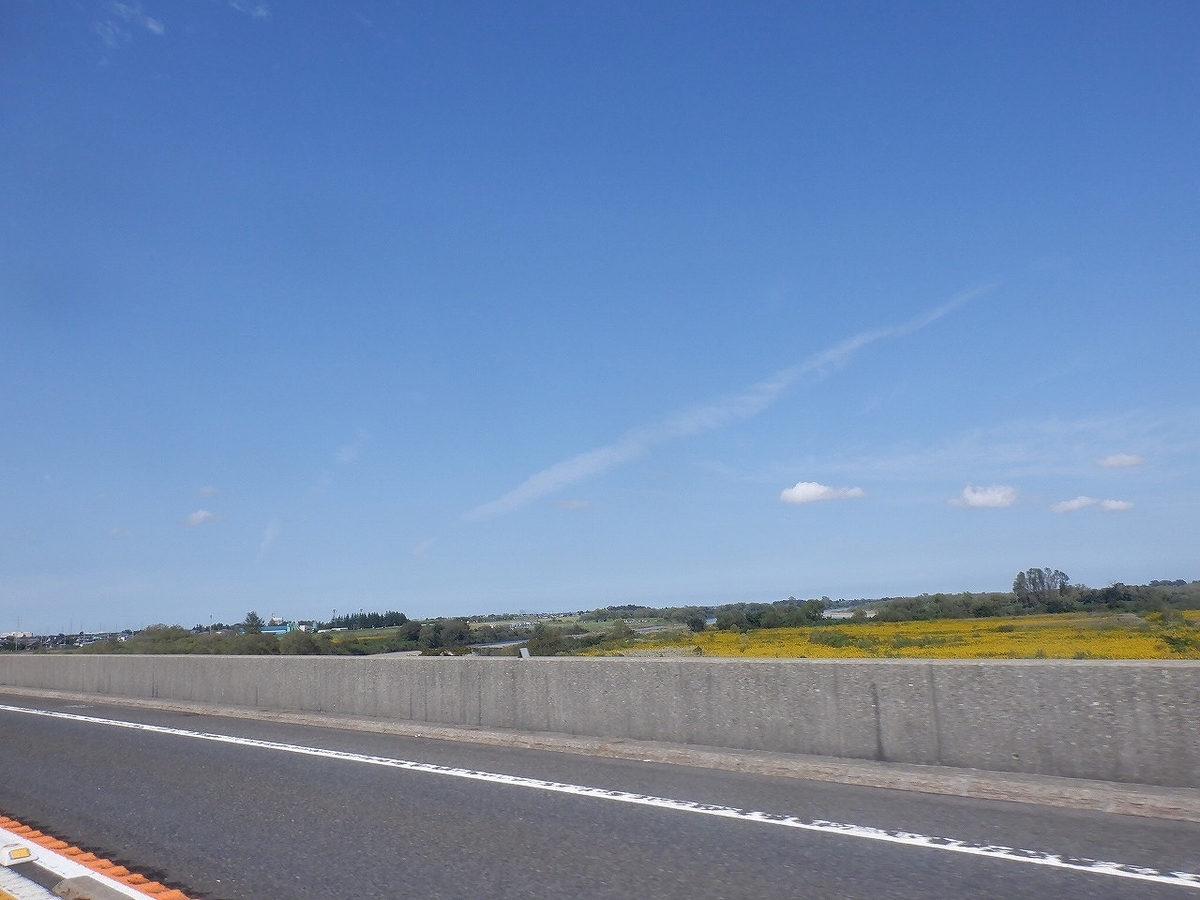 f:id:SC1083:20220323153157j:plain