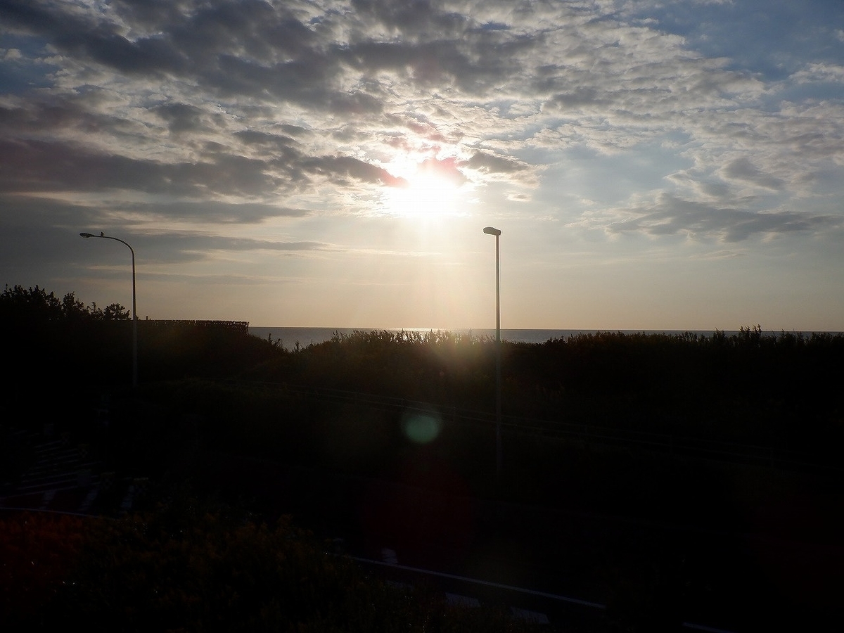 f:id:SC1083:20220323162718j:plain