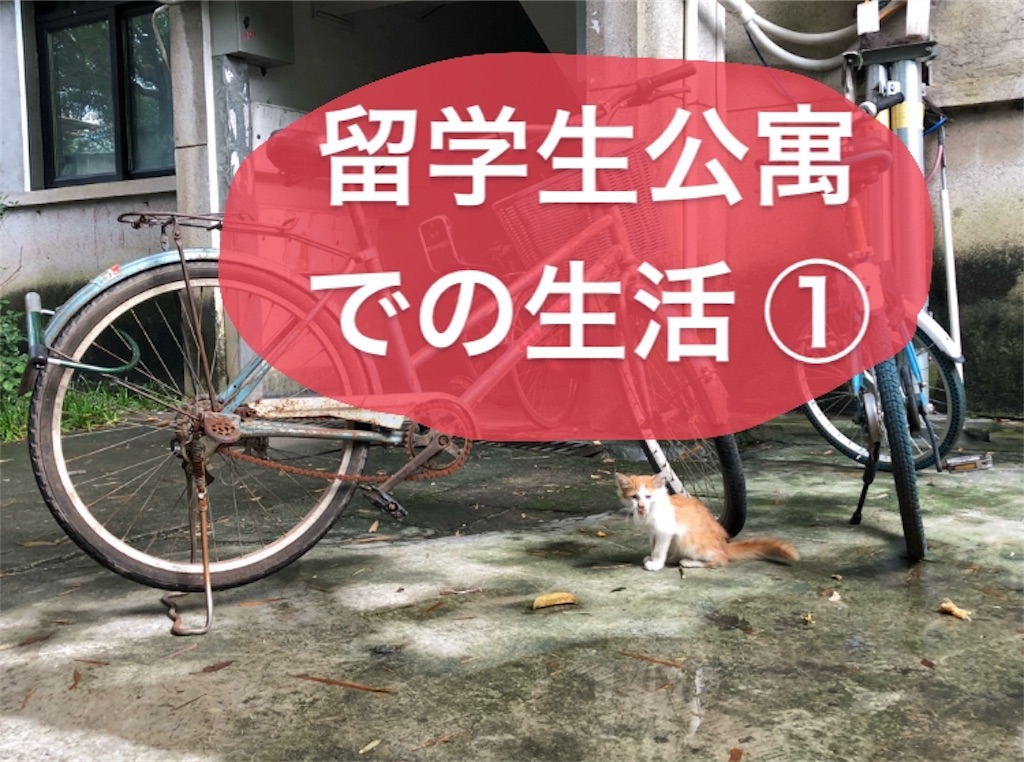 f:id:SEAGULLS:20191020164334j:image f:id:SEAGULLS:20191020164334j:image