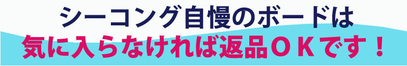 f:id:SEAKONG:20180206191414j:plain f:id:SEAKONG:20180206191414j:plain