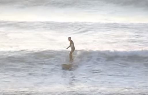 ファットキャットレビュー - シーコング店長ブログ