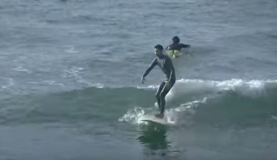 ファットキャットレビュー - シーコング店長ブログ