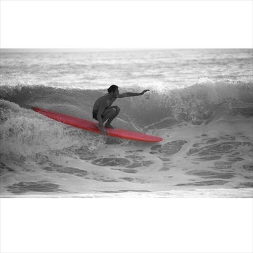 大阪店個人的にも気になるクリームフラワーモデル！！ - シーコング