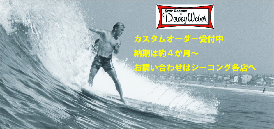 f:id:SEAKONG:20201028131108j:plain f:id:SEAKONG:20201028131108j:plain