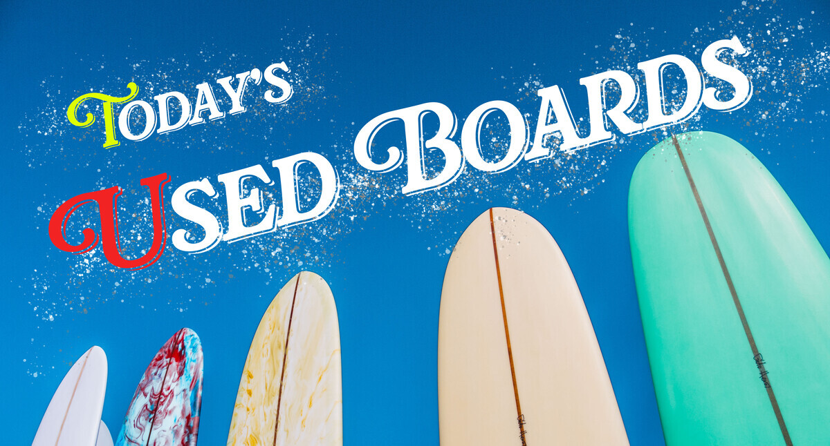 アレックスのパーティーは大成功！アレックスの撮影に行ってきました