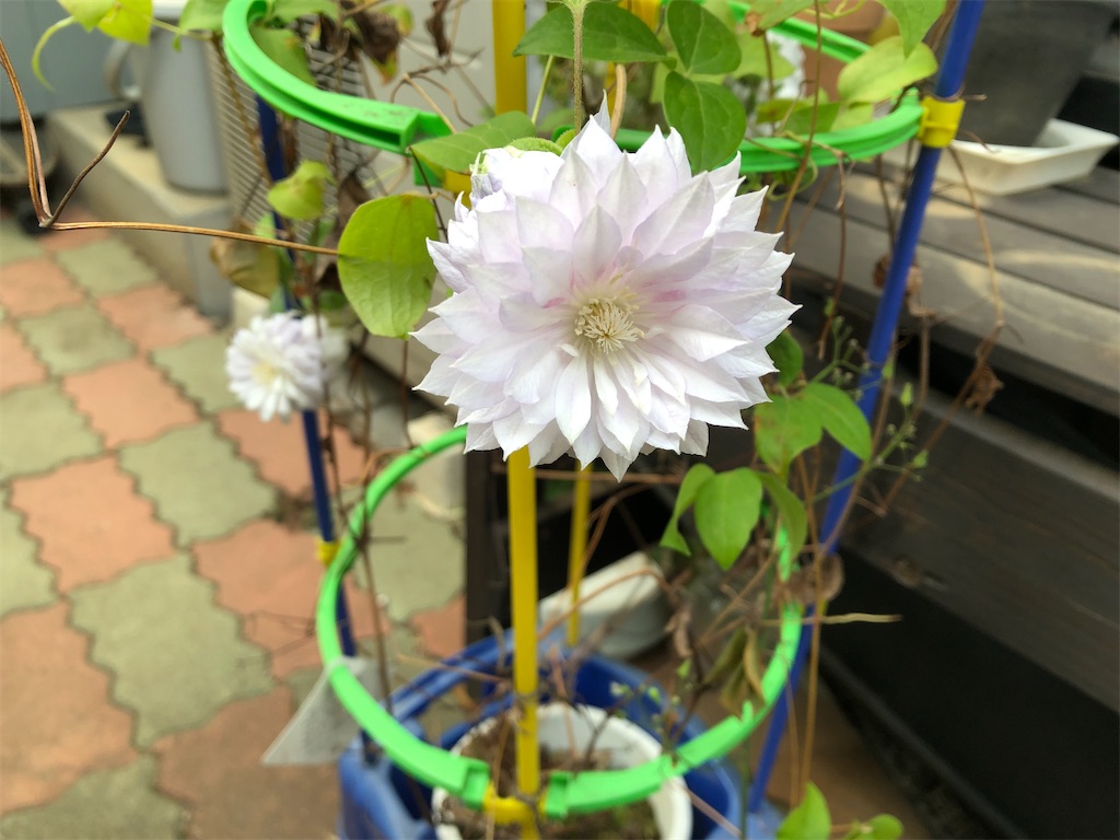 f:id:SEGE:20230430114547j:image