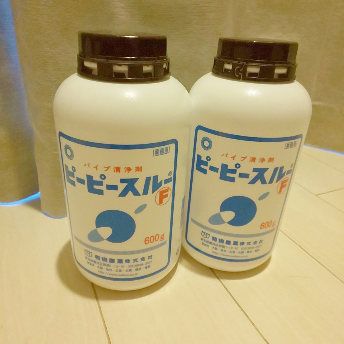 f:id:SENA11029:20201226172122j:plain