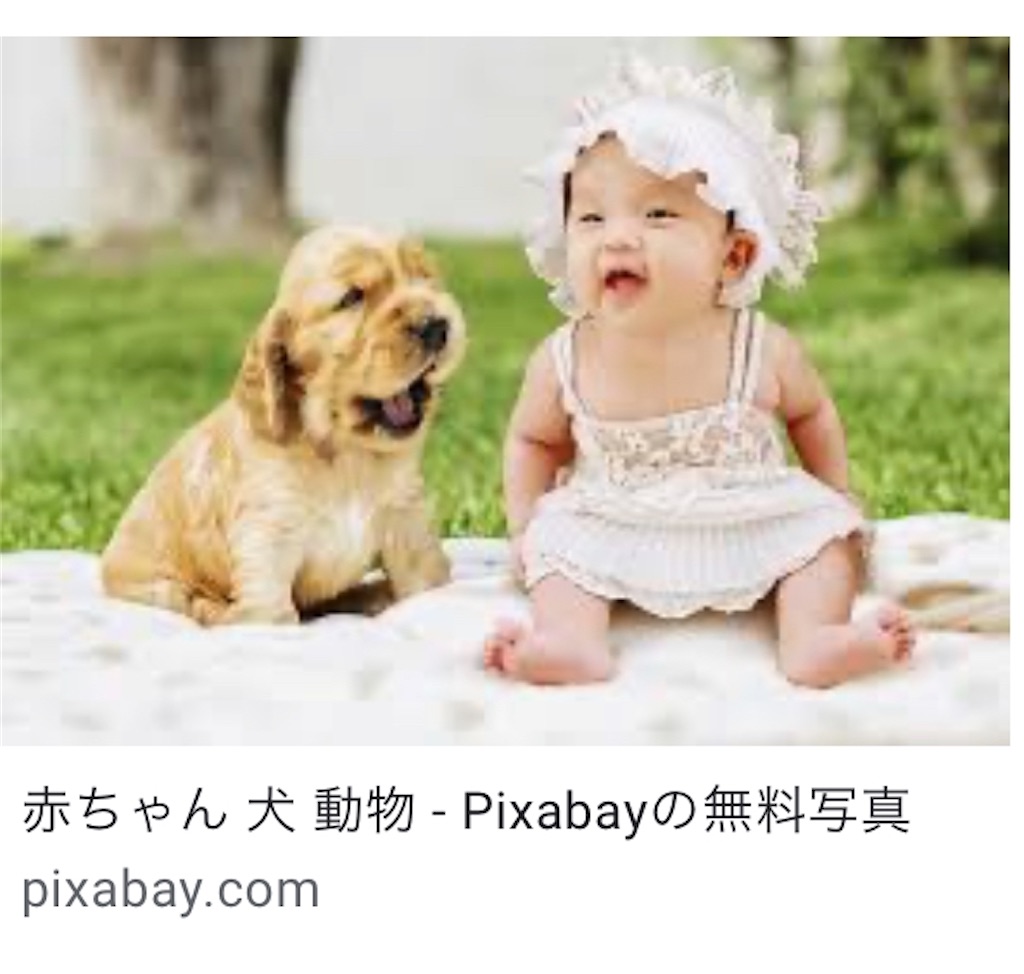 フリー素材の赤ちゃんの写真でもモチベーションがあがるのか 会話に困った時に使える 架空の友人 の千字ストーリー