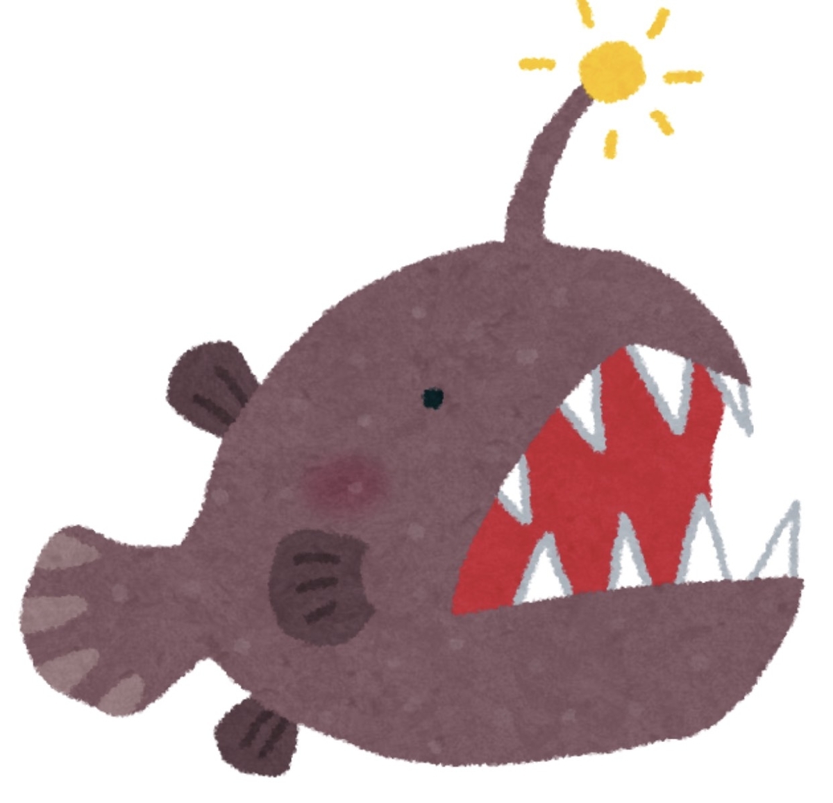 f:id:SENZILIFE:20200523173420j:plain