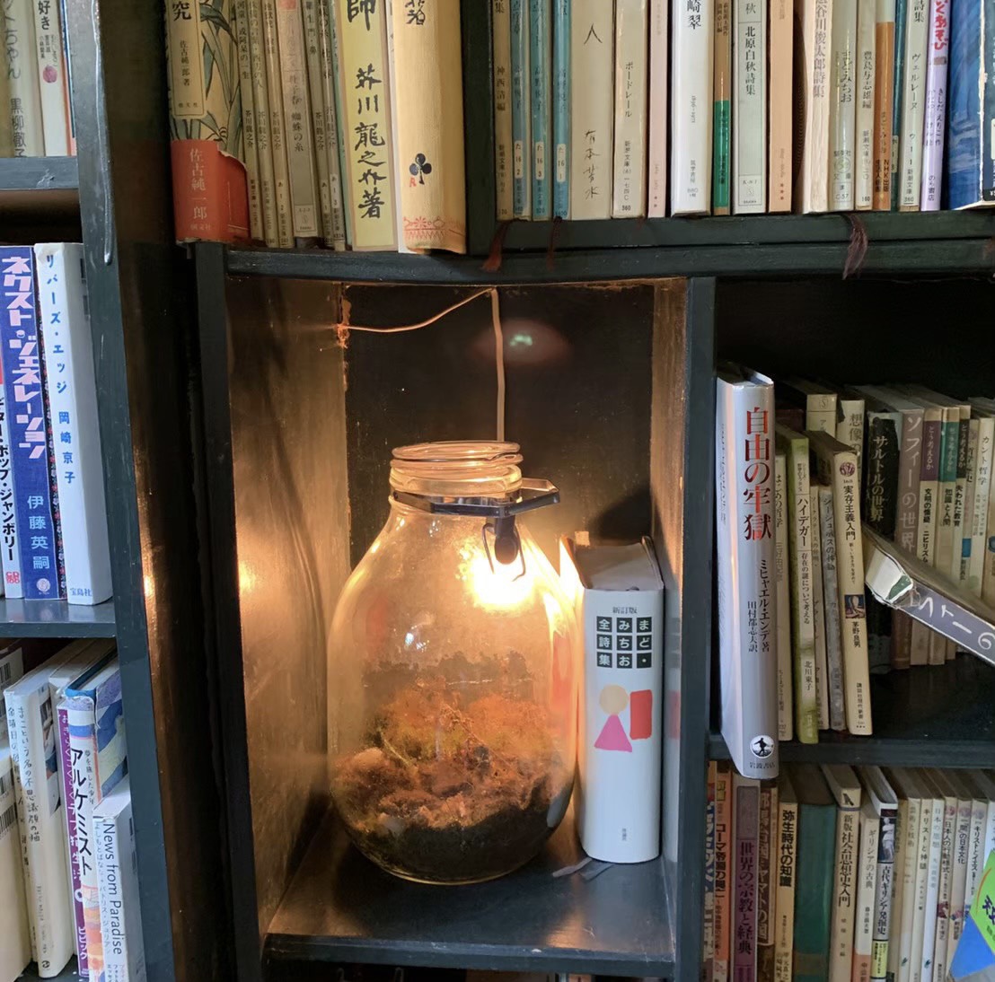 アール座読書館　写真3