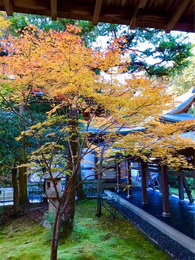 f:id:SH0W:20191203095726j:image f:id:SH0W:20191203095726j:image