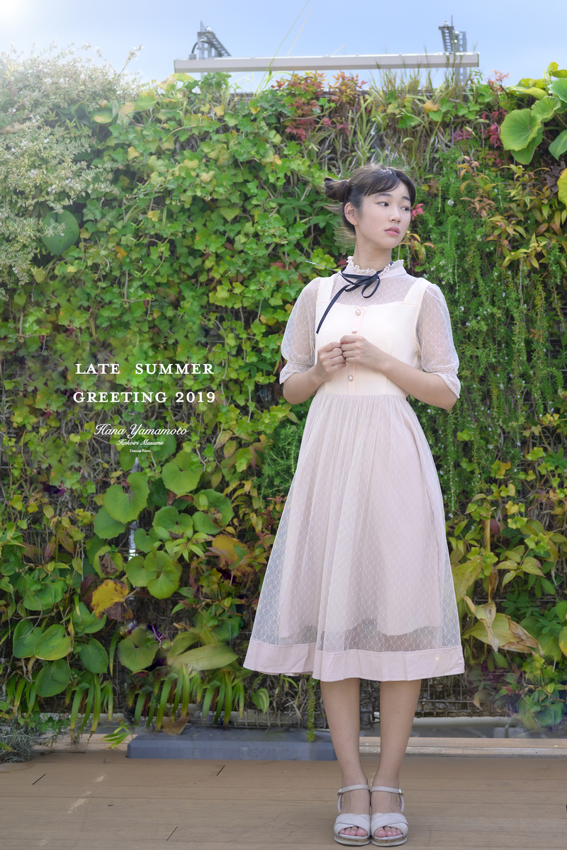 f:id:SHARP:20190811153712j:plain