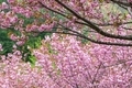 20190403110130