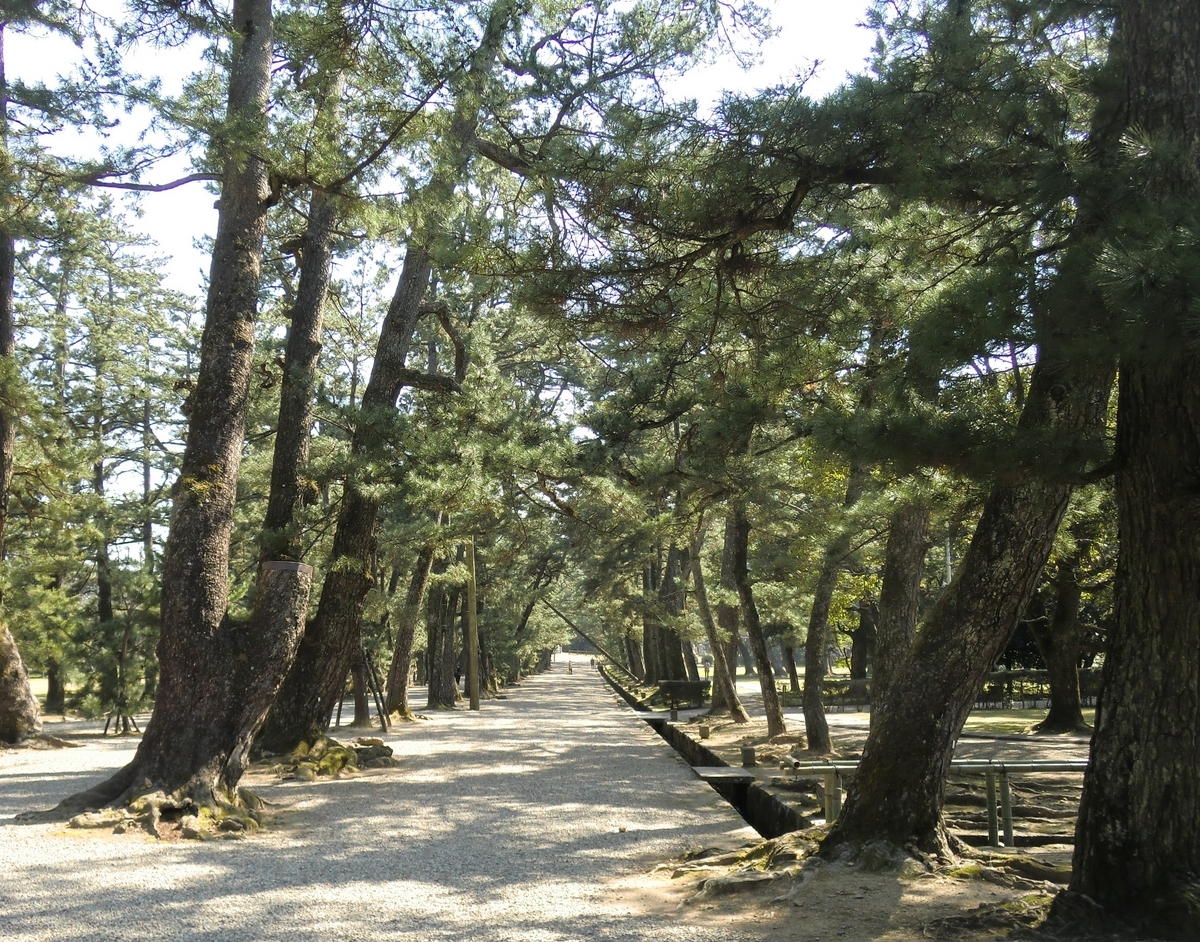 147 出雲大社と熊野大社 - 理系脳で紐解く日本の古代史