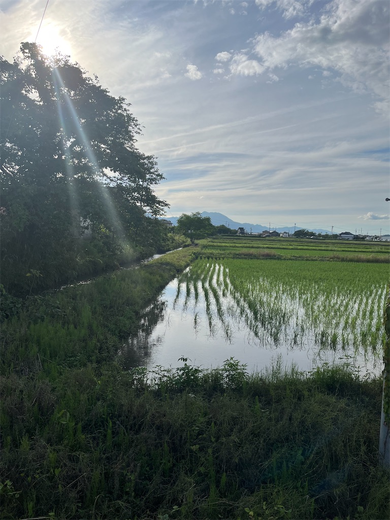 f:id:SHIMOTAYA:20240610205722j:image