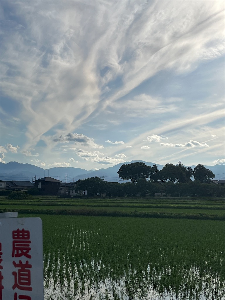 f:id:SHIMOTAYA:20240610205755j:image