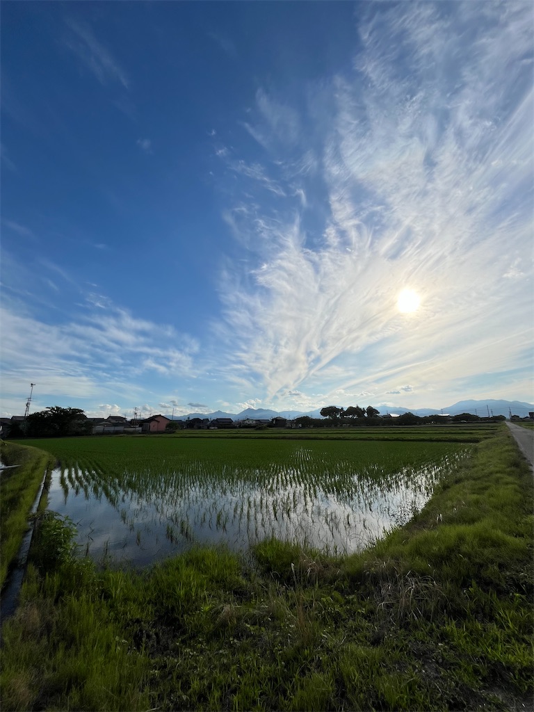 f:id:SHIMOTAYA:20240610205824j:image