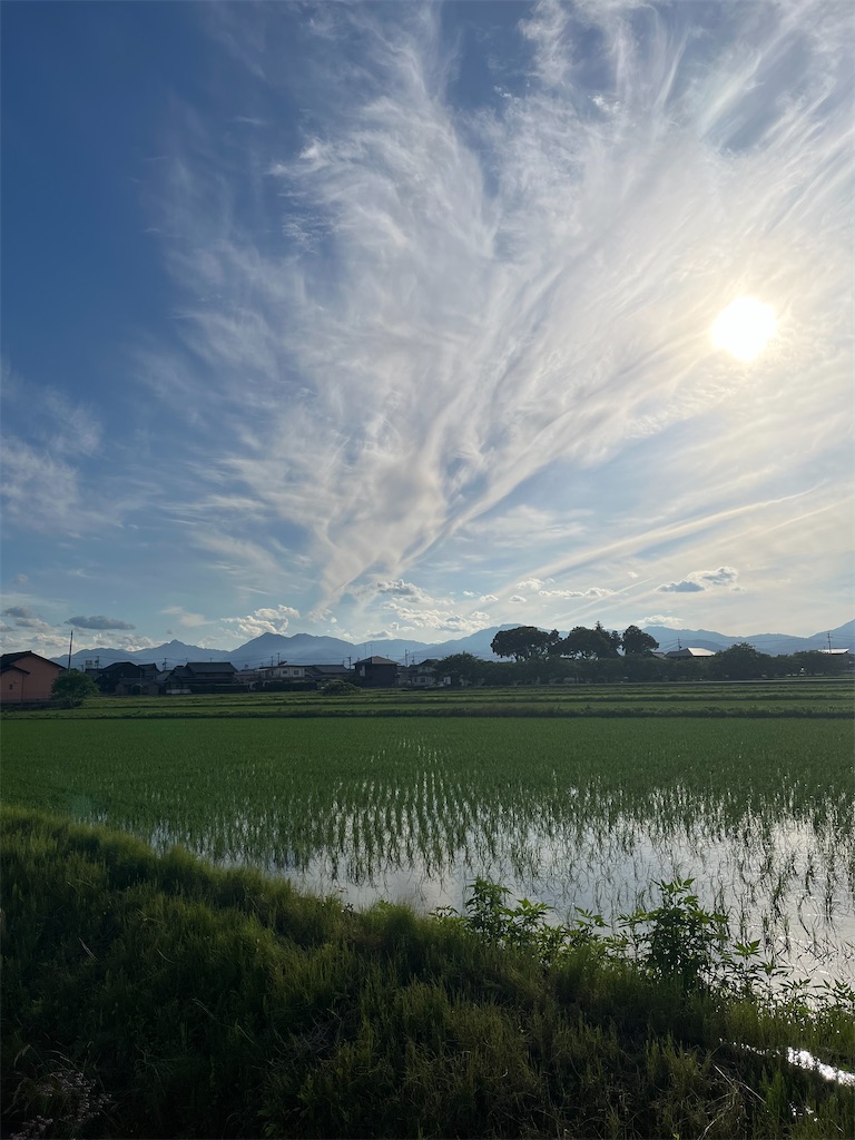 f:id:SHIMOTAYA:20240610210215j:image