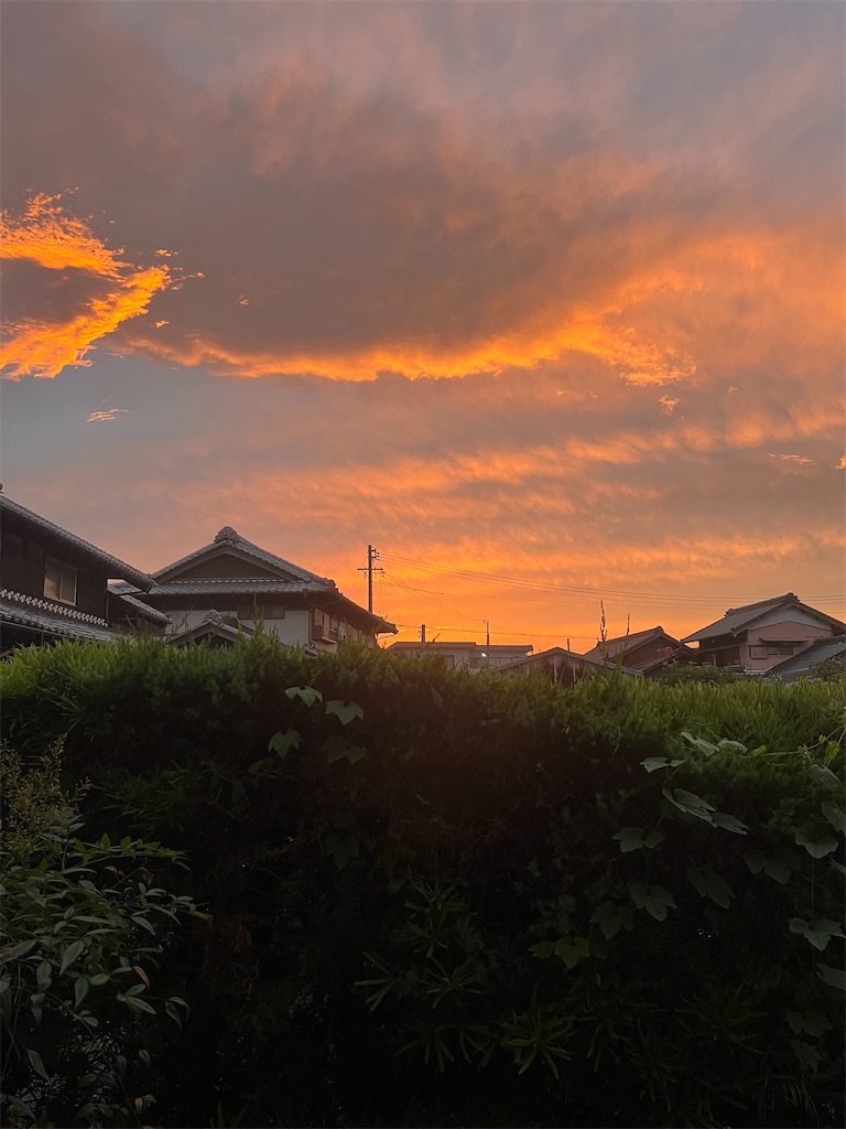 f:id:SHIMOTAYA:20240626200918j:image
