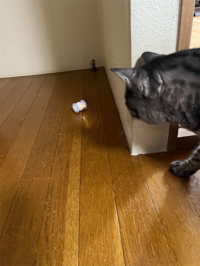 f:id:SHIMOTAYA:20241226203251j:image