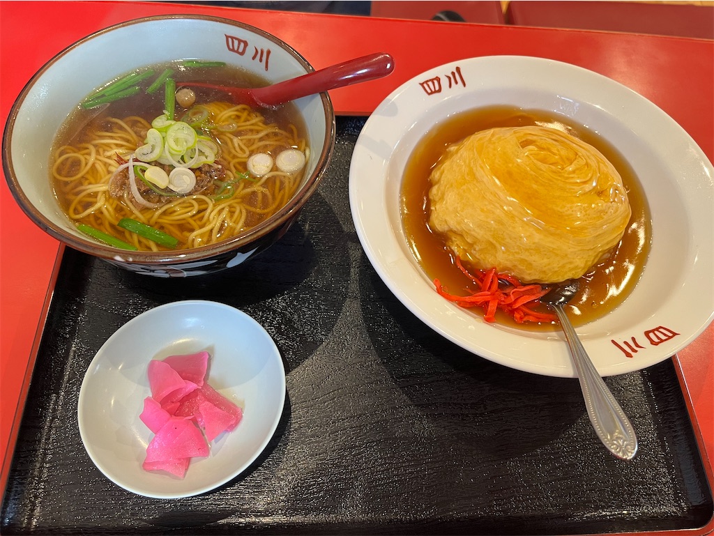 f:id:SHIMOTAYA:20241229230147j:image