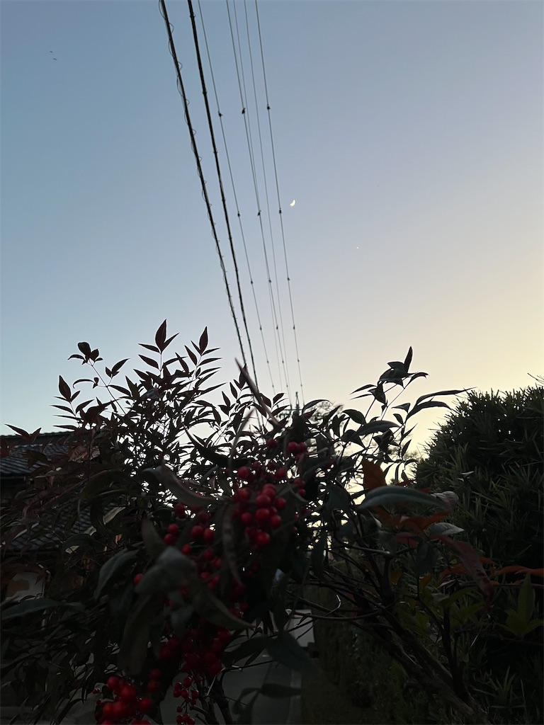 f:id:SHIMOTAYA:20250104231605j:image