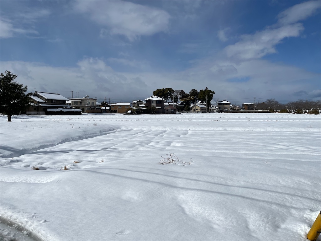 f:id:SHIMOTAYA:20250209220013j:image