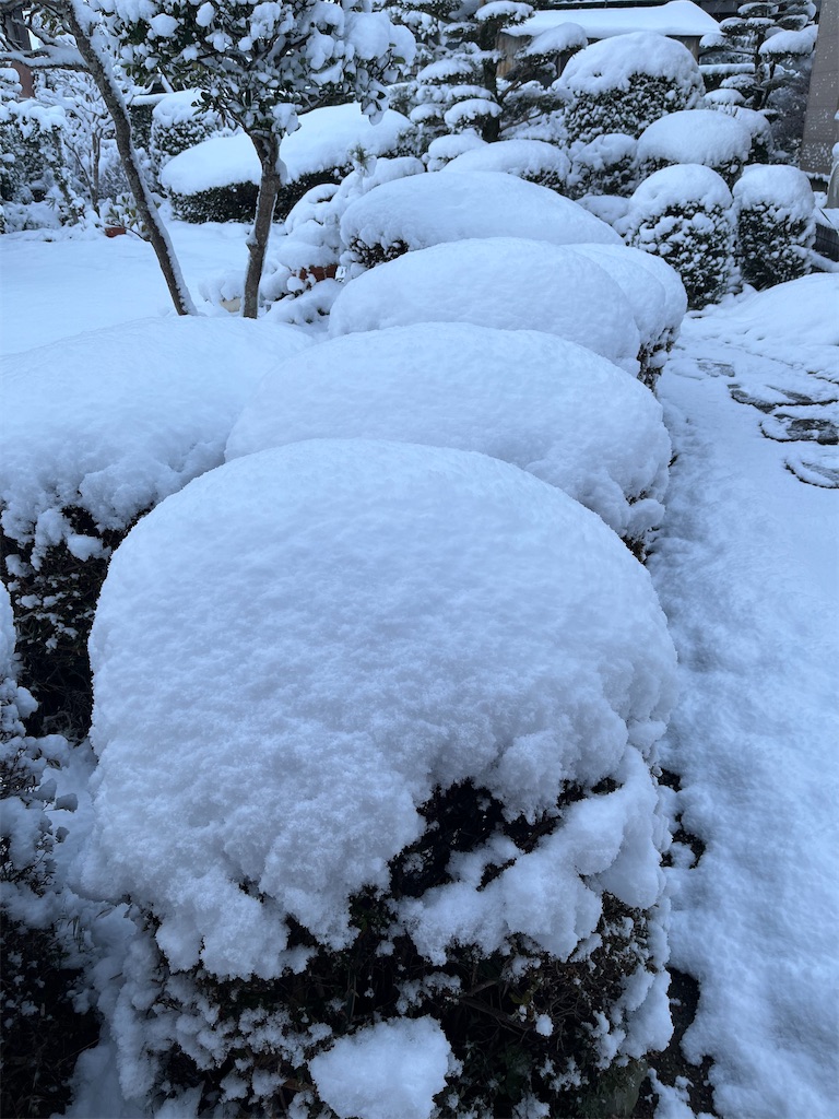 f:id:SHIMOTAYA:20250219192418j:image f:id:SHIMOTAYA:20250219192418j:image