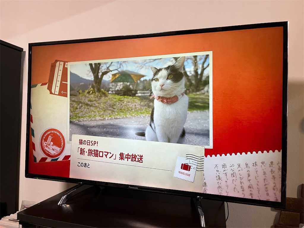 f:id:SHIMOTAYA:20250222200026j:image