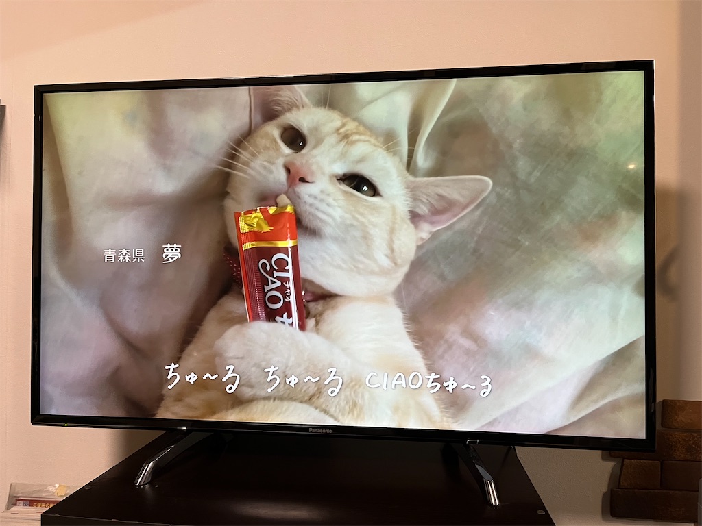 f:id:SHIMOTAYA:20250222201027j:image
