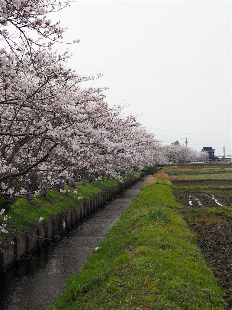 f:id:SHIMOTAYA:20250228205623j:image