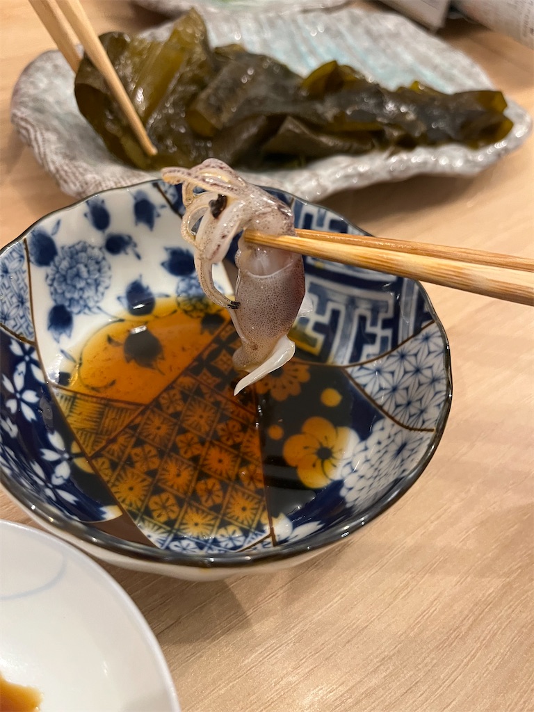 f:id:SHIMOTAYA:20250315193842j:image
