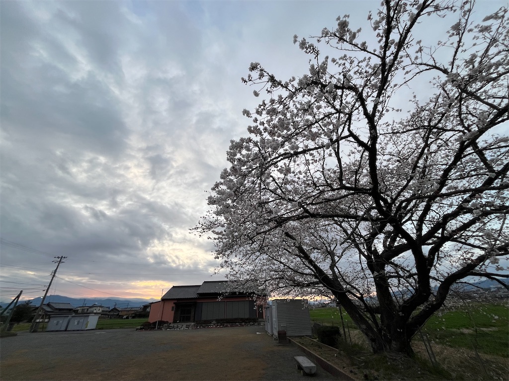 f:id:SHIMOTAYA:20250402215448j:image