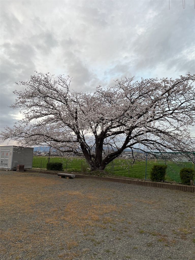 f:id:SHIMOTAYA:20250402215503j:image
