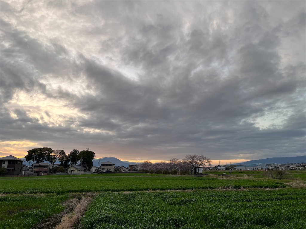 f:id:SHIMOTAYA:20250402215731j:image