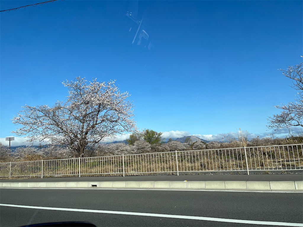 f:id:SHIMOTAYA:20250404192956j:image