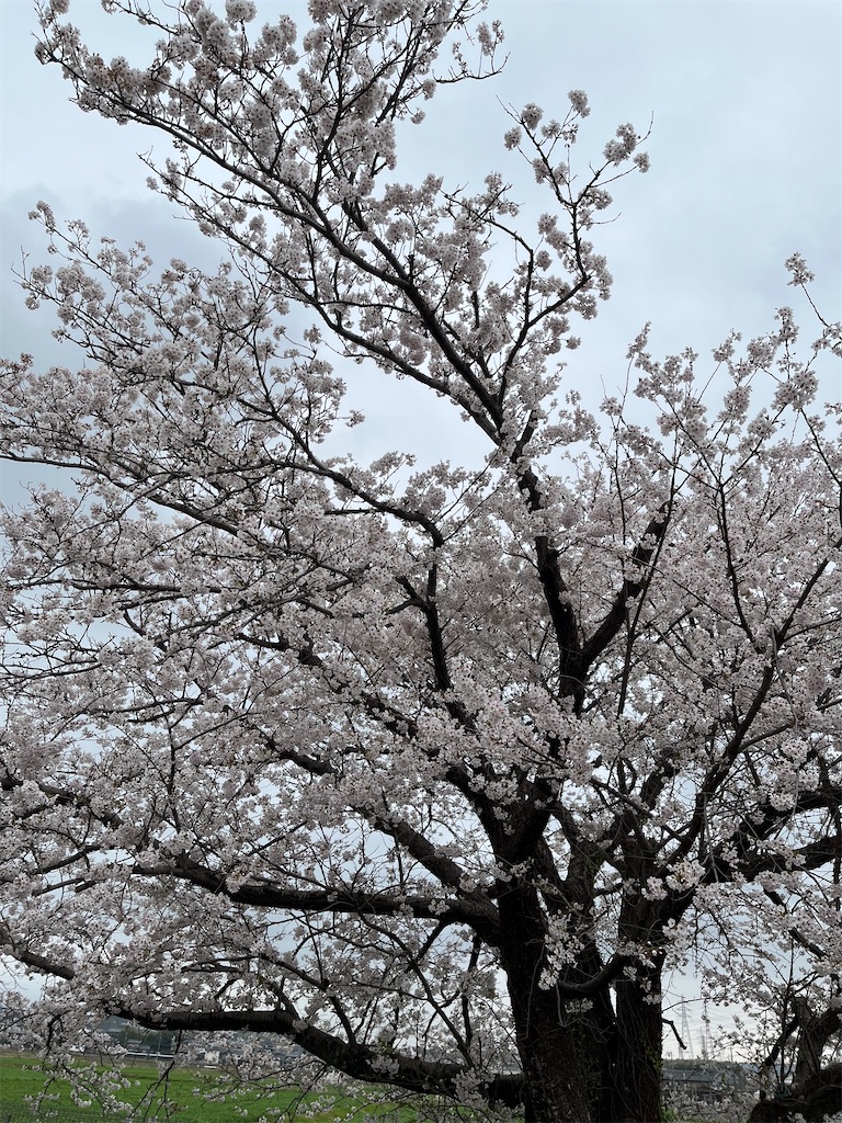 f:id:SHIMOTAYA:20250406212825j:image