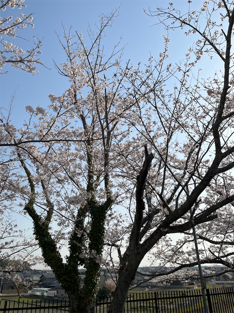 f:id:SHIMOTAYA:20250408194400j:image