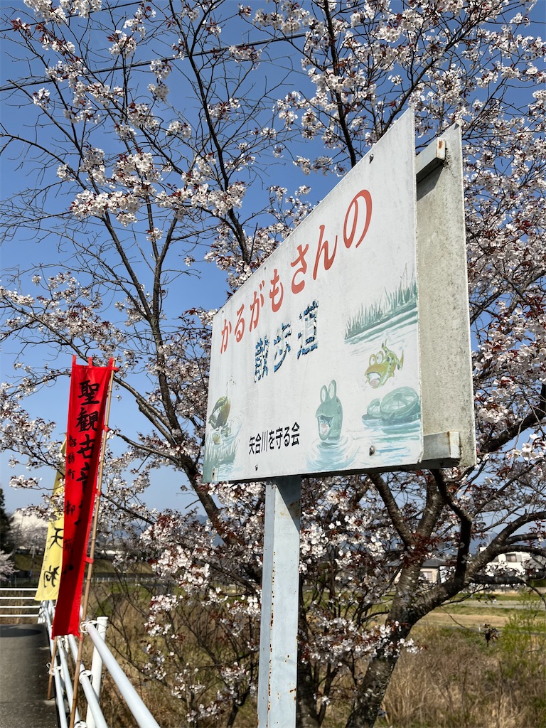 f:id:SHIMOTAYA:20250410213209j:image