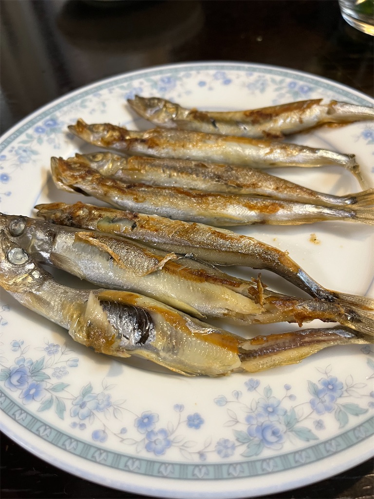 f:id:SHIMOTAYA:20250423215232j:image