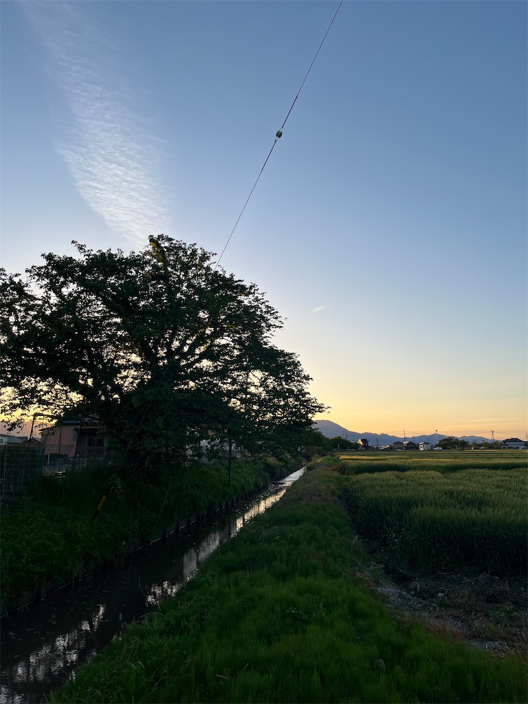 f:id:SHIMOTAYA:20250424211115j:image