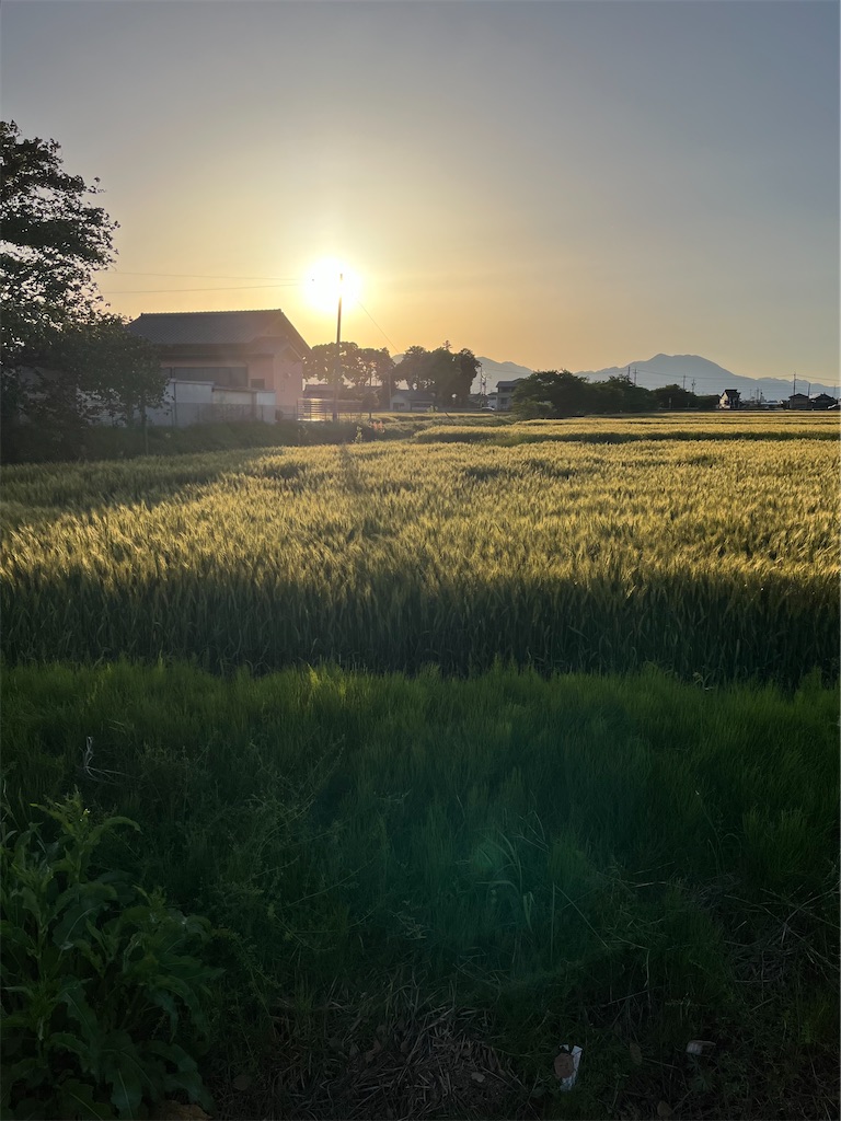 f:id:SHIMOTAYA:20250507204944j:image